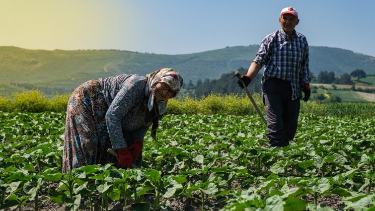 3-755x425 ALTIEYLÜL’DE KIRSAL ULAŞIM AĞI GÜÇLENİYOR