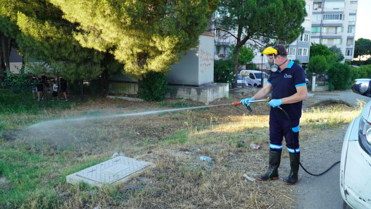 balikesirde_vektorle_mucadelede_tam_zamanli_mesai_9-755x425 BALIKESİR'DE VEKTÖREL MÜCADELE ARALIKSIZ 1 YILDIR SÜRÜYOR