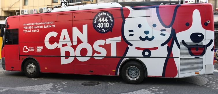 Sokaktaki-Patili-Dostlar-Buyuksehire-Emanet-4-755x326 Sokaktaki Patili Dostlar Büyükşehir’e Emanet