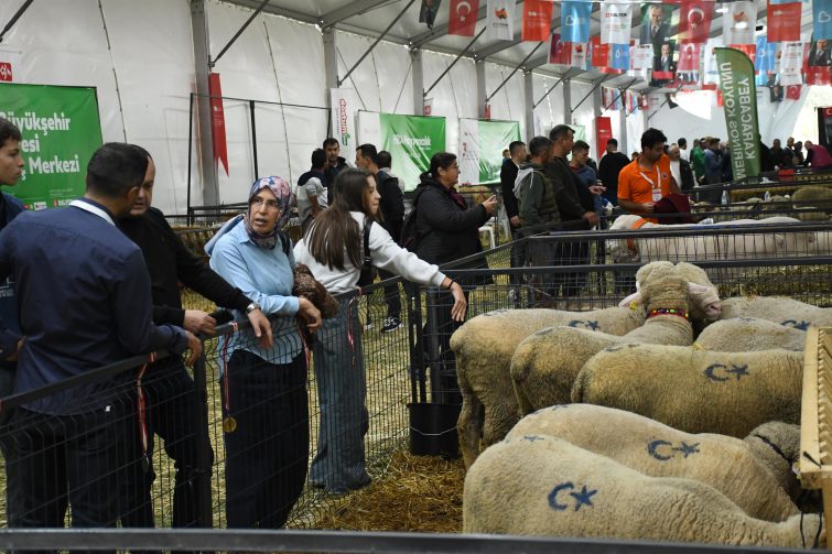 tarim_ve_hayvancilik_fuari_sehrin_uretim_gucunu_dunyaya_tanitti_11-755x503 Tarım ve Hayvancılık Fuarı Şehrin Üretim Gücünü Dünyaya Tanıttı