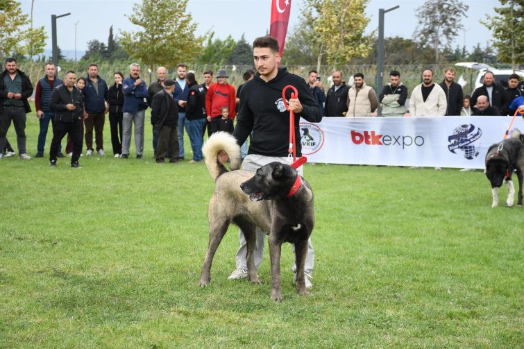 tarim_ve_hayvancilik_fuari_sehrin_uretim_gucunu_dunyaya_tanitti_8-755x503 Tarım ve Hayvancılık Fuarı Şehrin Üretim Gücünü Dünyaya Tanıttı